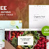 Best 5+ Niche Organic Food, Natural Responsive Shopify Theme 