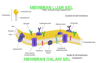 https://pelajarancg.blogspot.com/