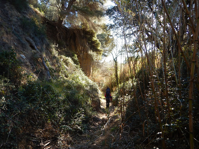 Barranc de Roquesbrunes