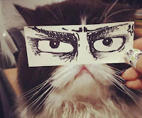 Galería de fotos de humor : dibujando ojos de gatos