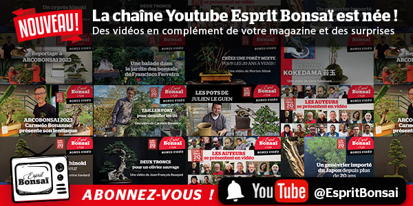 Abonnez-vous à la chaîne Youtube Esprit Bonsaï !