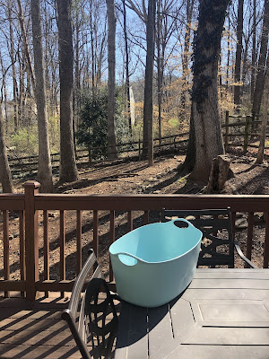 A view of our backyard including the table which has an empty laundry bucket sitting on top.