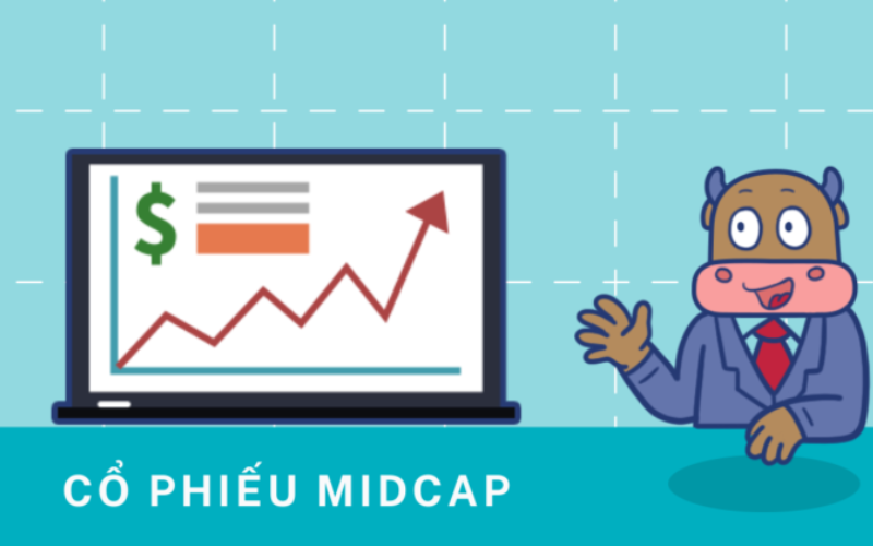 Làm thế nào để chọn cổ phiếu Midcap?