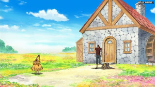 ワンピースアニメ ドレスローザ編 742話 | ONE PIECE Episode 742