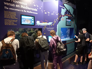 Students at Oceanographic Museum of Monaco.