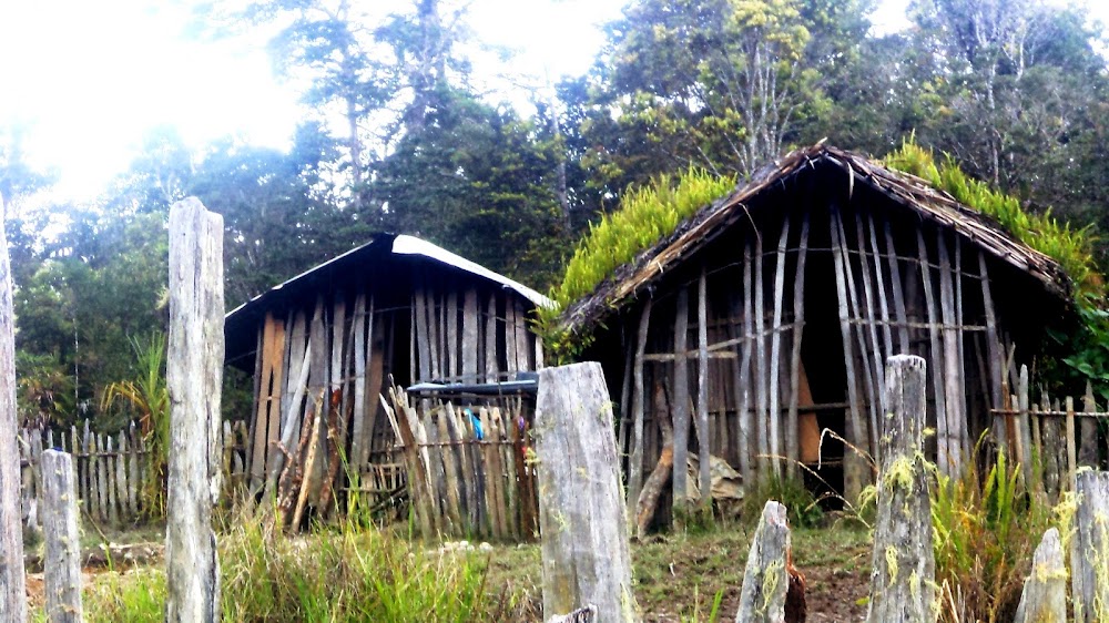 Emaowa Dan Owada Dalam Masyarakat  Adat Suku Mee di Papua
