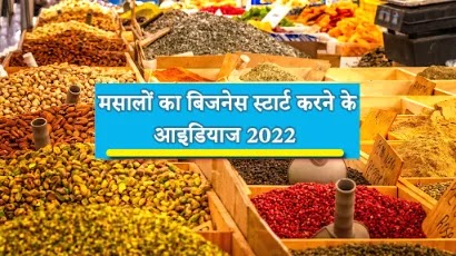 How to Start Spice Business from Home in Hindi