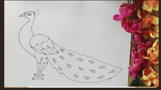 how to draw peacock (feather drawing  easy drawing with colour)