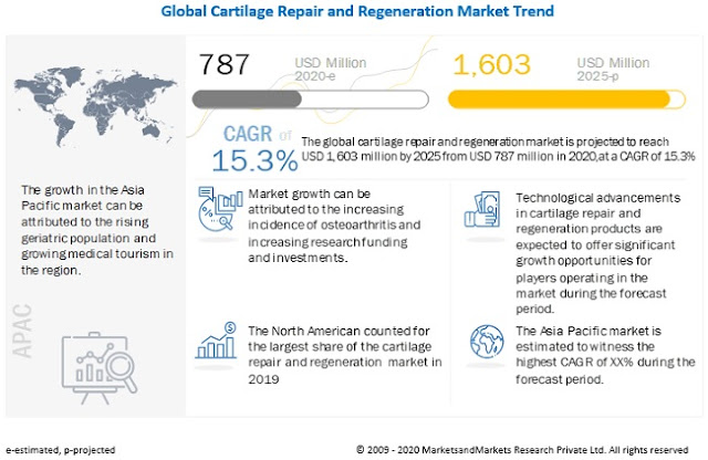 Cartilage Repair Market