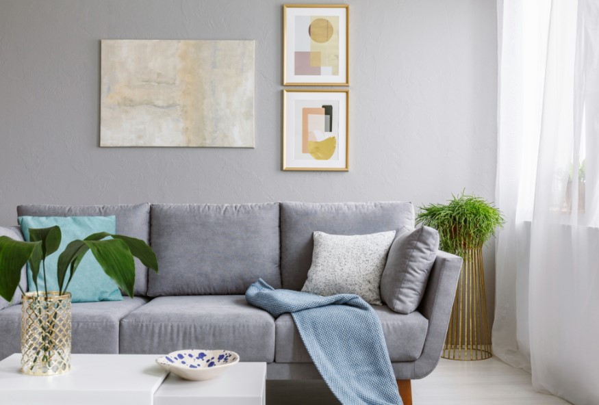 light grey paint for living room pictures