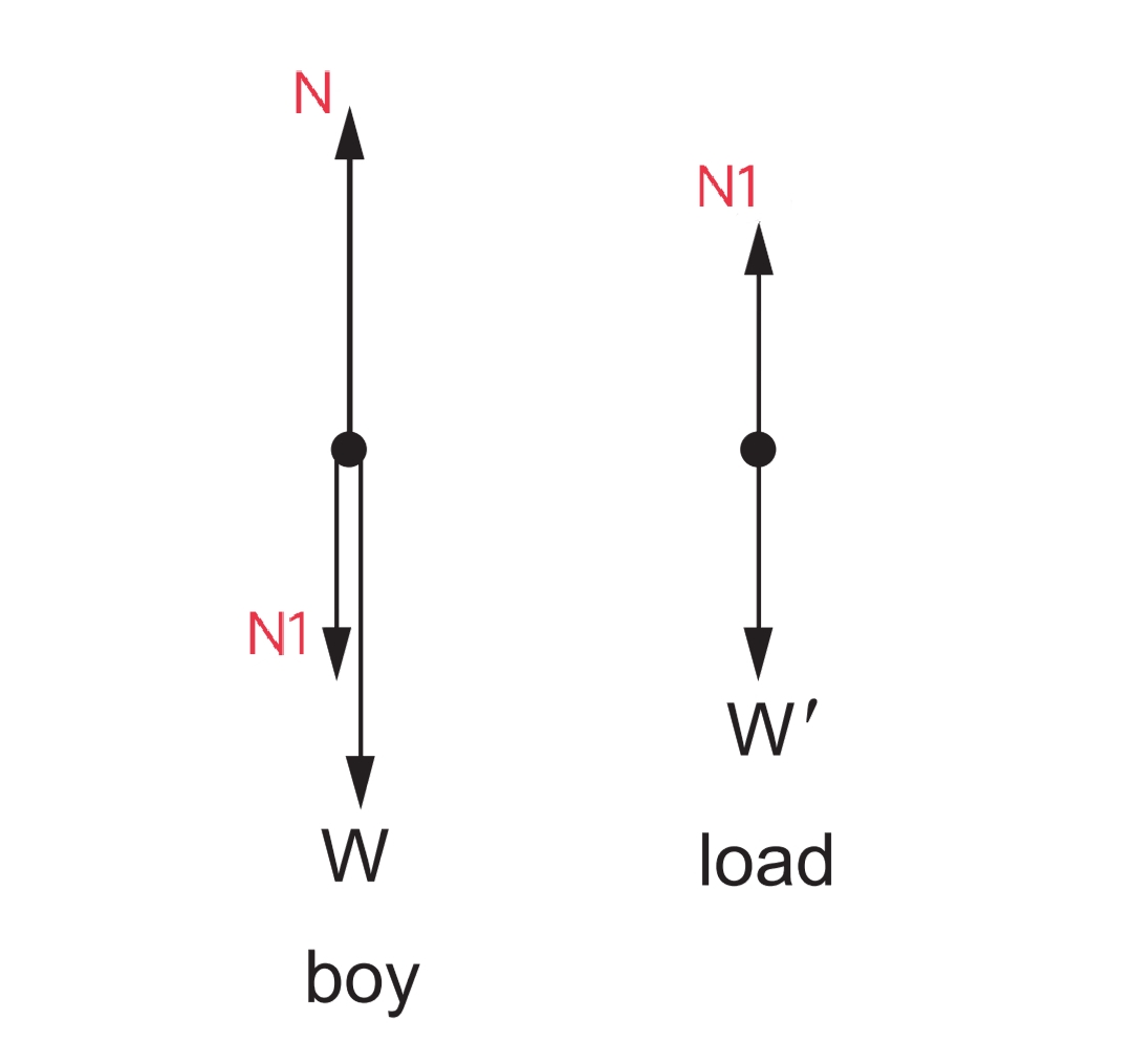 newton's second law of motion impoartant image3
