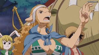 ワンピースアニメ ゾウ編 755話 ワンダ | ONE PIECE Episode 755