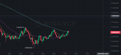 Shiba Inu set for a bullish outburst