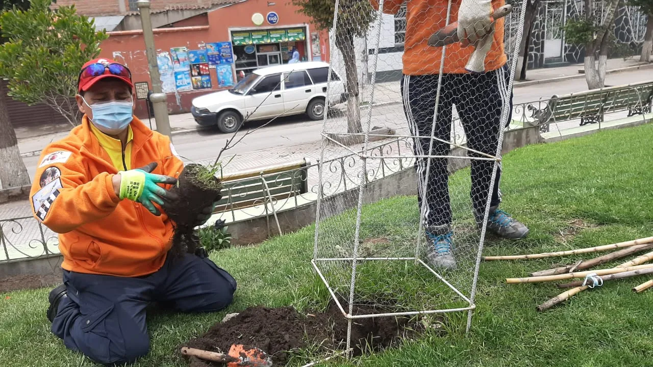 Plantines de los fruticultores