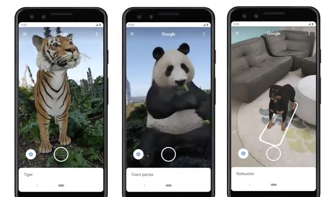 Do you have a favorite animal? Experience it in Augmented Reality (AR)