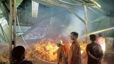 Satu Petugas Damkar Pingsan di TKP Kebakaran Pabrik Kelapa di Jongkat