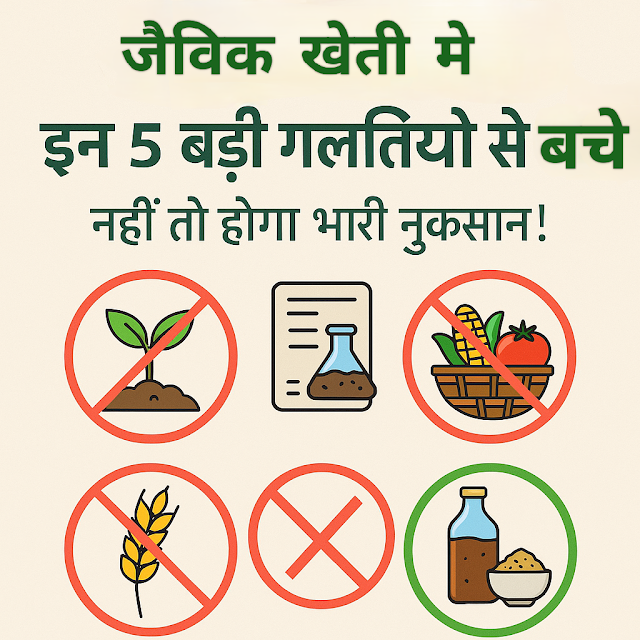 🌱 जैविक खेती में इन 5 बड़ी गलतियों से बचें, नहीं तो होगा भारी नुकसान!जैविक खेती की गलतियां 