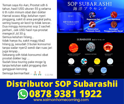 Testimoni SOP Subarashi