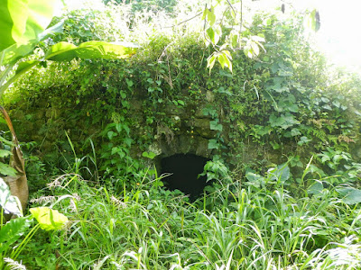 Figure 8. “Slave Pen” on the Hermitage Estate, St Andrew, showing the partially underground design (photo by Angus Thompson/courtesy the Grenada National Trust)