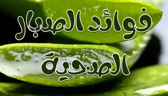 نبات الصبار . فوائد الصبار علي الصحة, الصحة الطبيعية,الصحة,الصبار. نباتات الصبار . انواع الصبار.