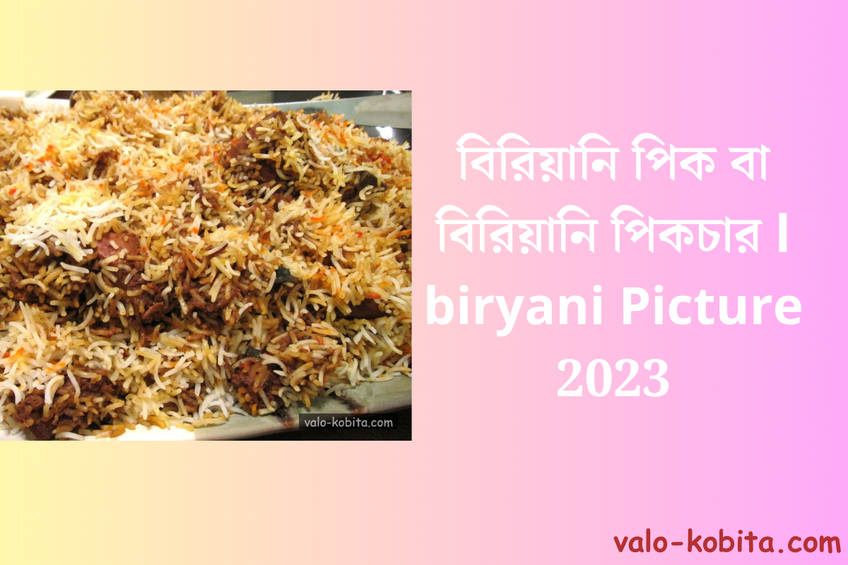 বিরিয়ানি পিক বা বিরিয়ানি পিকচার l biryani Picture 2023
