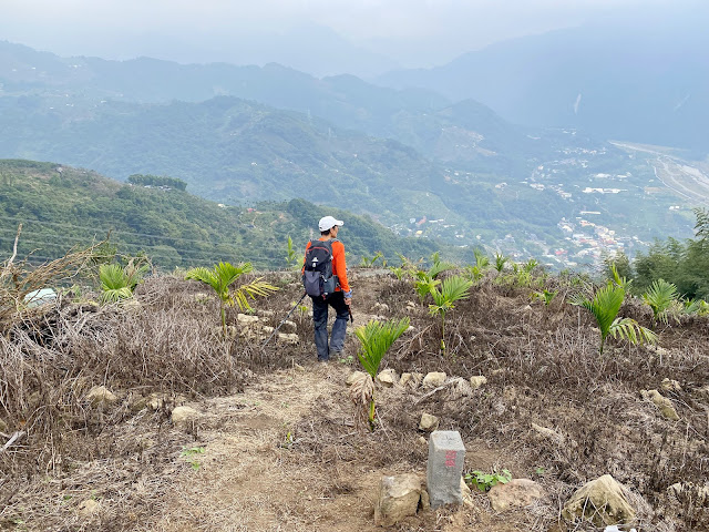 大茅埔山