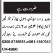 Latest Auditor and Sales Manager Jobs in Javaid Brothers Distributors Multan 2022