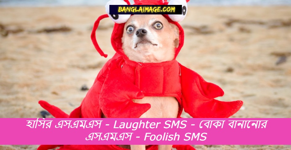 হাসির এসএমএস, Laughter SMS, বোকা বানানোর এসএমএস, Foolish SMS, হাসির এসএমএস 2021, ভালোবাসার হাসির এসএমএস, হাসির কৌতুক এসএমএস, হাসি এসএমএস, চরম হাসির এসএমএস, ঈদের হাসির এসএমএস, রোমান্টিক হাসির এসএমএস, ছেলেদের বোকা বানানোর এসএমএস, বোকা বানানোর এসএমএস 2021, বোকা বানানোর বাংলা এসএমএস, বন্ধুদের বোকা বানানোর এসএমএস,