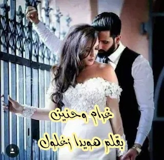 غرام وحنين بقلم هويدا زغلول