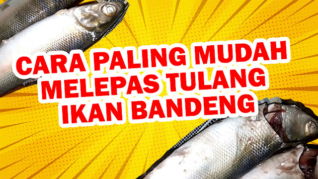 Ikan bandeng