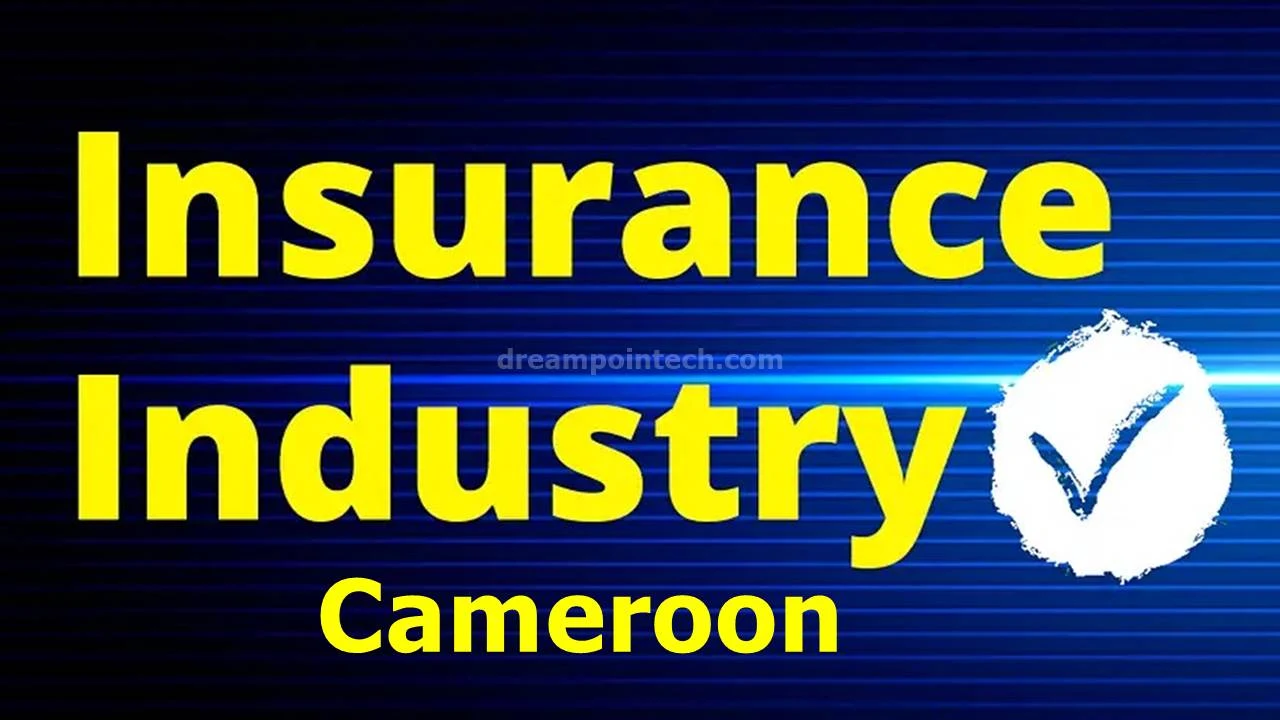 Overview of the Insurance Industry in Cameroon