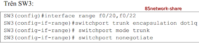 stp trunking