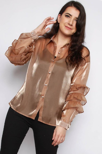 Organza Blouse Style Reigning in 2022