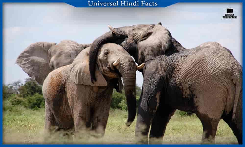 facts in hindi, amazing facts in hindi, interesting facts in hindi, psychology facts in hindi,