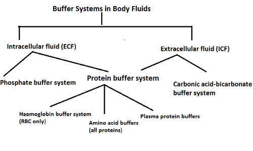 pH Buffer Systems