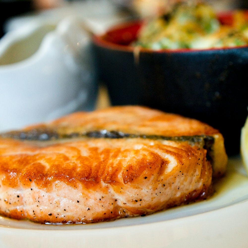 Salmon