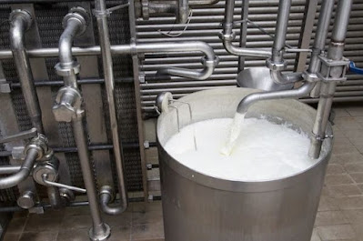 small scale milk pasteurizer