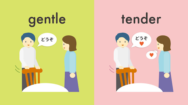 gentle と tender の違い