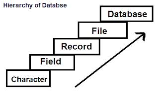 Organization of DBMS