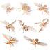  Pemecahan Masalah Cicada Antara Teka teki dengan Serangga