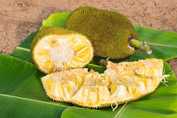 Mangalore: ಮಾವು ಮತ್ತು ಹಲಸು ಮೇಳಕ್ಕೆ  ಅರ್ಜಿ ಆಹ್ವಾನ
