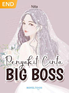 Novel Penyakit Cinta Big Boss By Nita PDF Full Episode