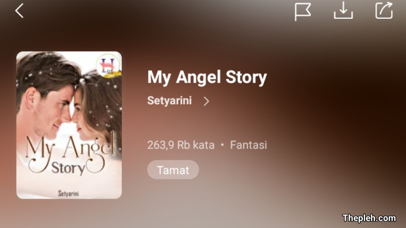 Novel My Angel Story