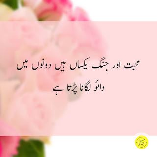 Deep Words About Life in Urdu