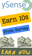 Earn money from survey