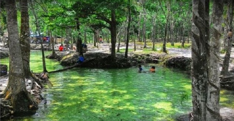 laborblog.my.id - Sungai ini terletak di Bangkinang, Salo, Kec. Kampar, Kabupaten Kampar, Riau. Mengapa warna sungai ini hijau? Karena di airnya yang jernih terdapat kumpulan lumut hijau dan alga dan di sekitar sungai terdapat pepohonan dan tumbuhan hijau lainnya. Jadi bukan airnya yang berwarna hijau.