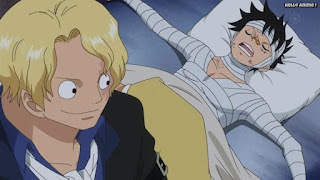 ワンピースアニメ ドレスローザ編 737話 ルフィ サボ かっこいい SABO | ONE PIECE Episode 737