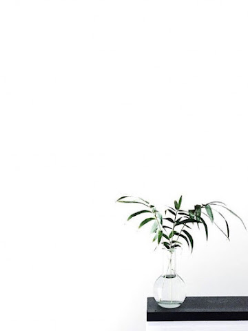 Get for purple flowers for wallpaper
