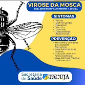 Prefeitura de Pacujá: Virose da Mosca