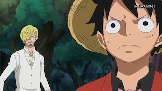 ワンピースアニメ WCI編 847話 ルフィ かっこいい Monkey D. Luffy  | ONE PIECE ホールケーキアイランド編